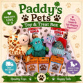 Paddys Pets Kong & Treat Mystery Box