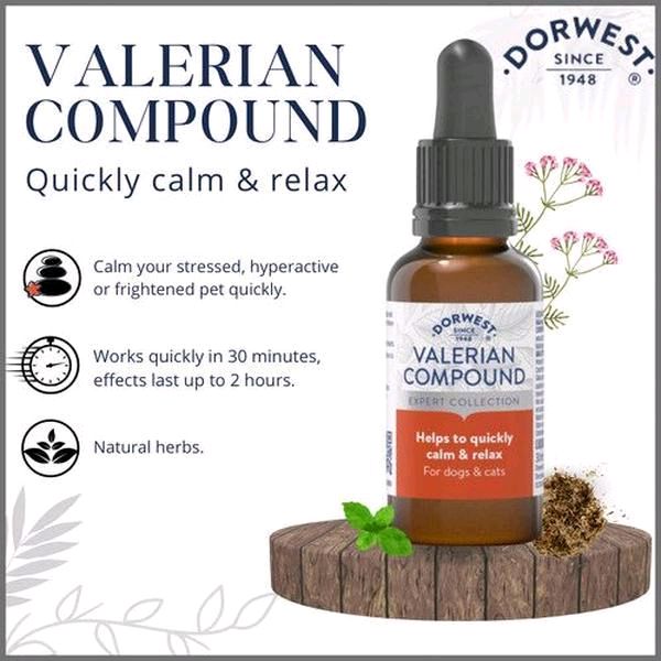 Dorwest Valerian Compound for Anxiety in Dogs & Cats 30ml & 100ml Natural Herbs Quick Calm Relaxation 30 Minutes Effects Last Up To 2 Hours