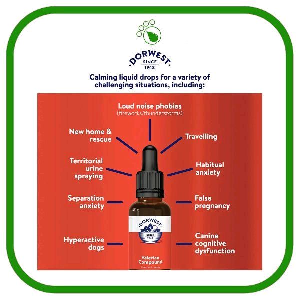 Dorwest Valerian Compound for Anxiety in Dogs & Cats 30ml & 100ml Natural Herbs Quick Calm Relaxation 30 Minutes Effects Last Up To 2 Hours