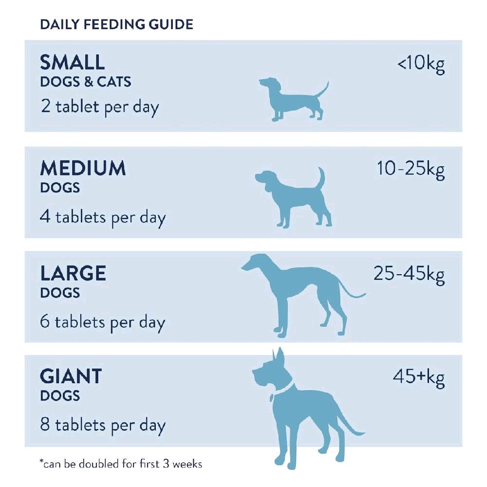 Dorwest Scullcap Valerian Tablets, Anxiety & Calming Supplement for dogs & cats