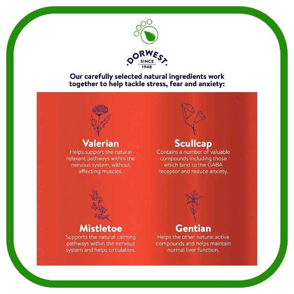 Dorwest Scullcap Valerian Tablets, Anxiety & Calming Supplement for dogs & cats