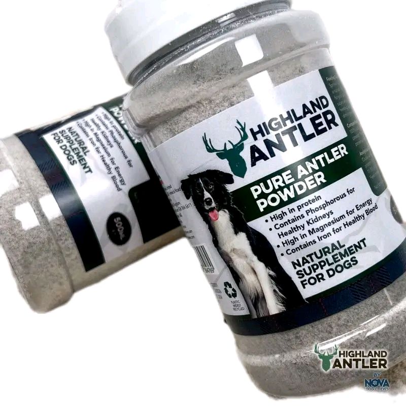 Highland Antler Powder for dogs