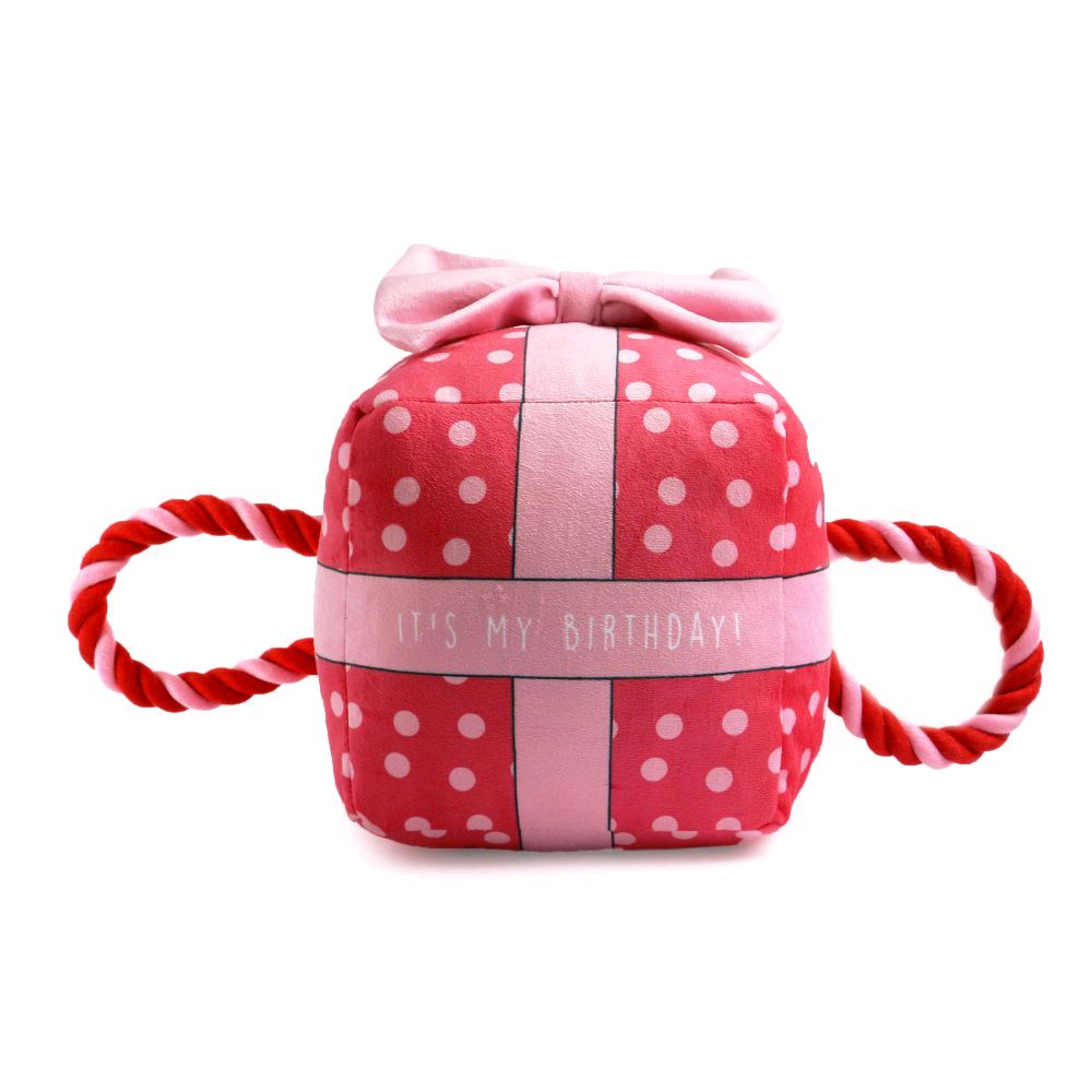 Pawty Time Tugger Birthday Toys for Dogs Presents