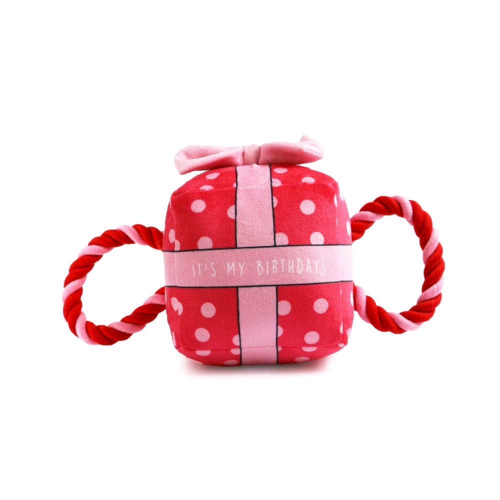 Pawty Time Tugger Birthday Toys for Dogs Presents