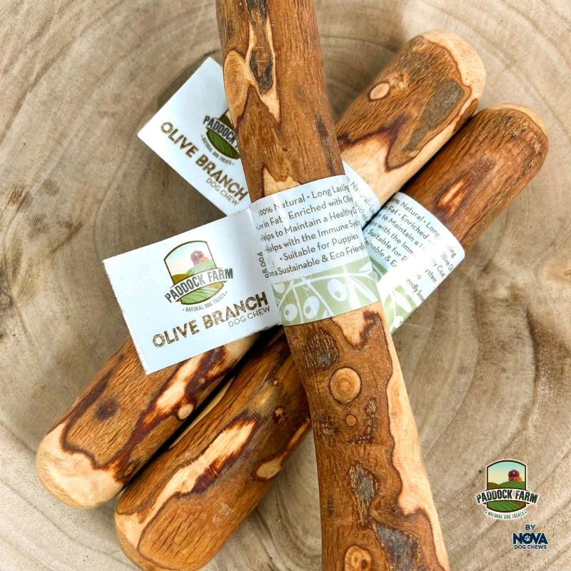 Olive Branch, Natural Chew for Dogs