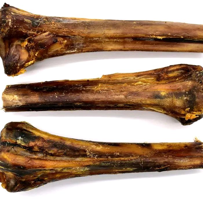 Ostrich Bones