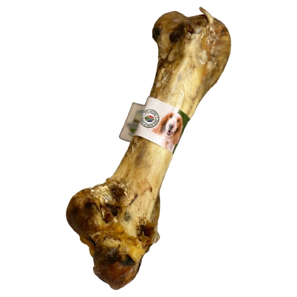 Ostrich Bones