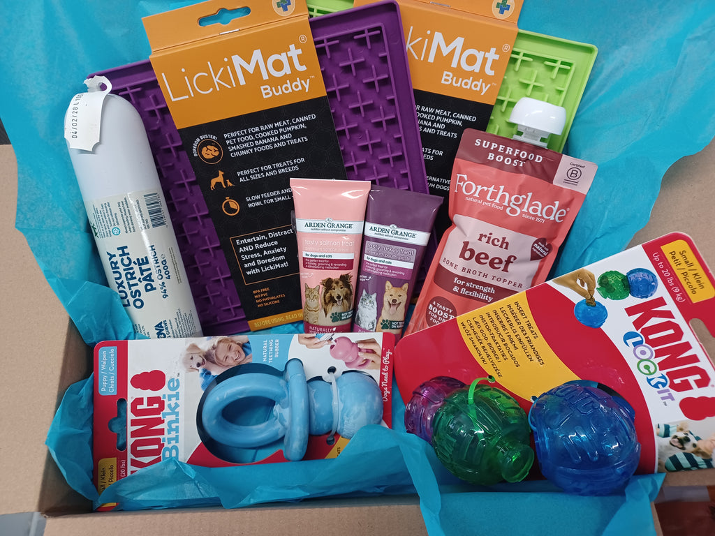 Enrichment Mystery Dog Box