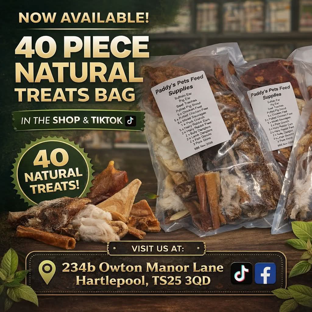40 Piece Natural Dog Treat Bundle