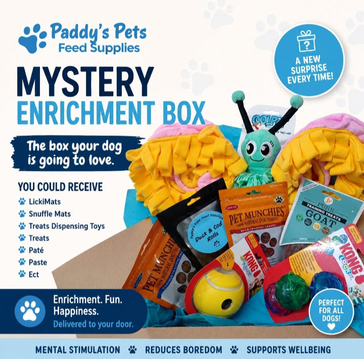 Enrichment Mystery Dog Box